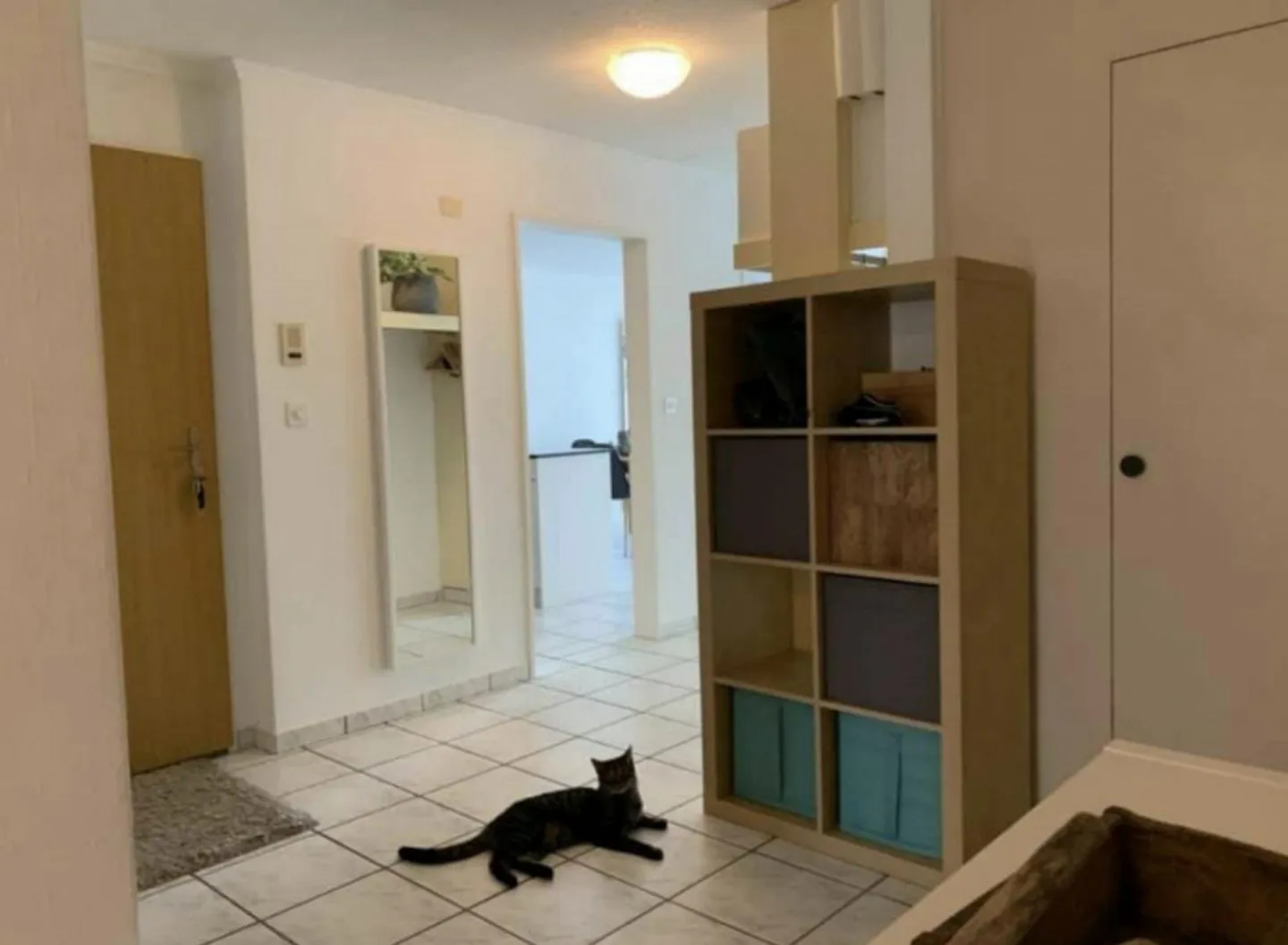 Bright spacious 4.5 room apartment - Photo 7 of 12