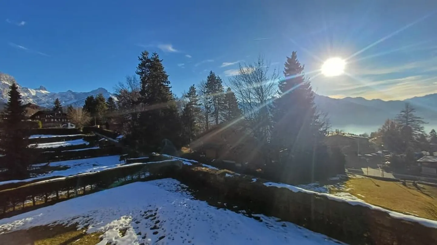 Chamois 12 - Foto 5 von 9