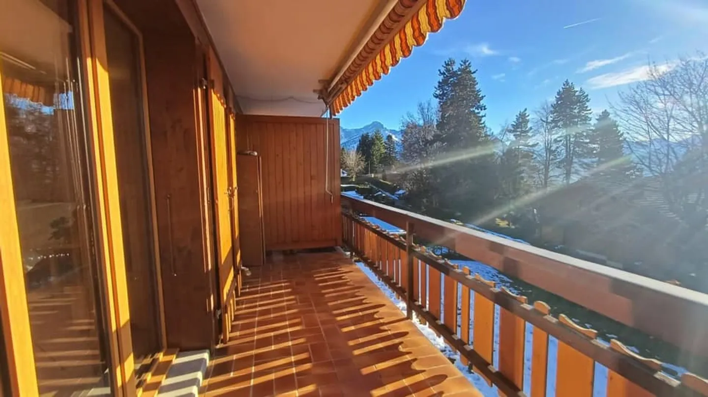 Chamois 12 - Foto 9 von 9