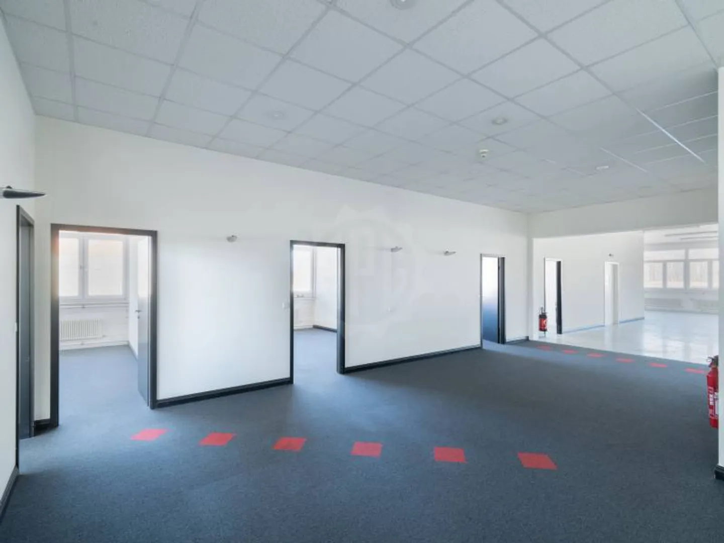 Bella area industriale - Grand-Lancy - Foto 4 di 6