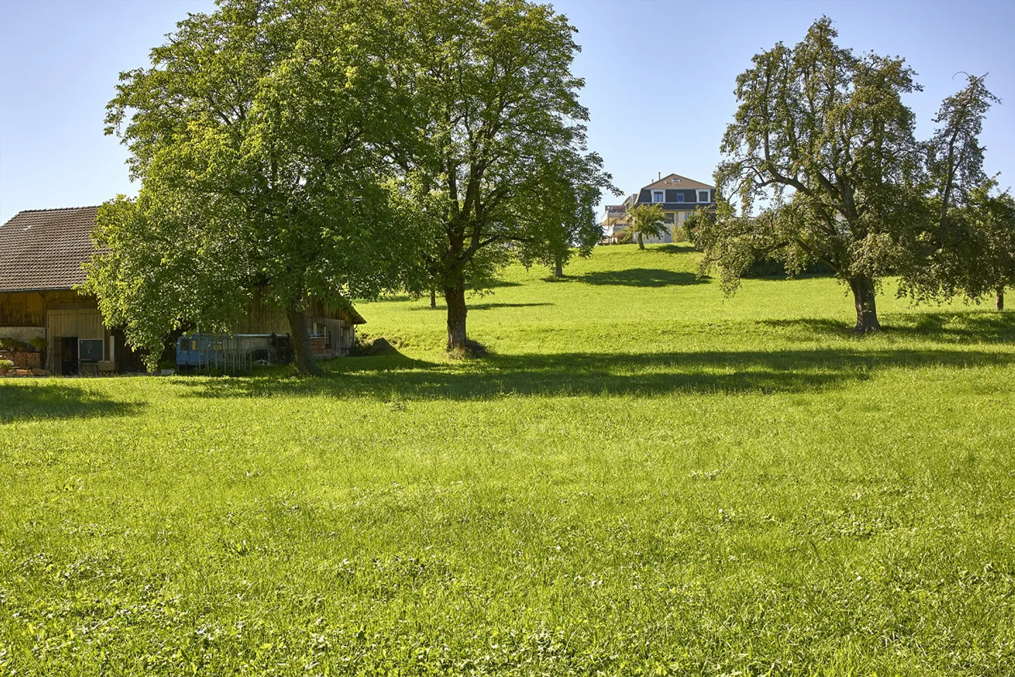 Spacieux, lumineux, calme et verdoyant, rez-de-chaussée à droite, 132m² - Photo 2 sur 24