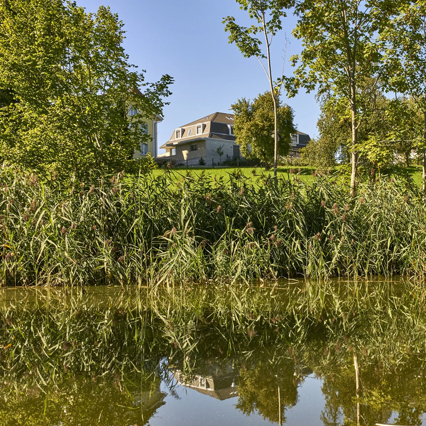 Spacieux, lumineux, calme et verdoyant, rez-de-chaussée à droite, 132m² - Photo 5 sur 24