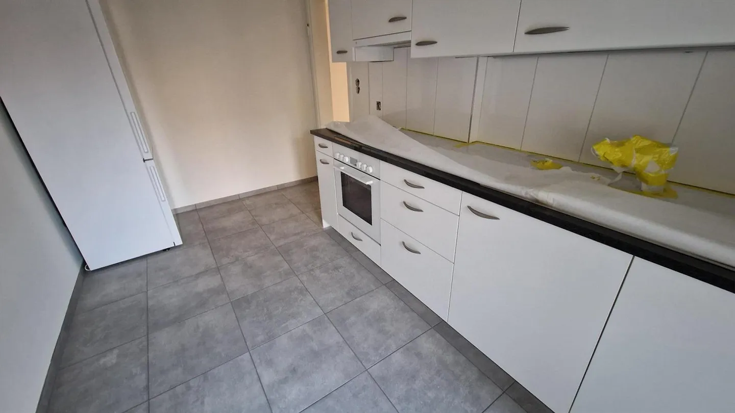 Appartement 4 pièces fraîchement rénové dans un emplacement calme à Binningen - Photo 2 sur 12