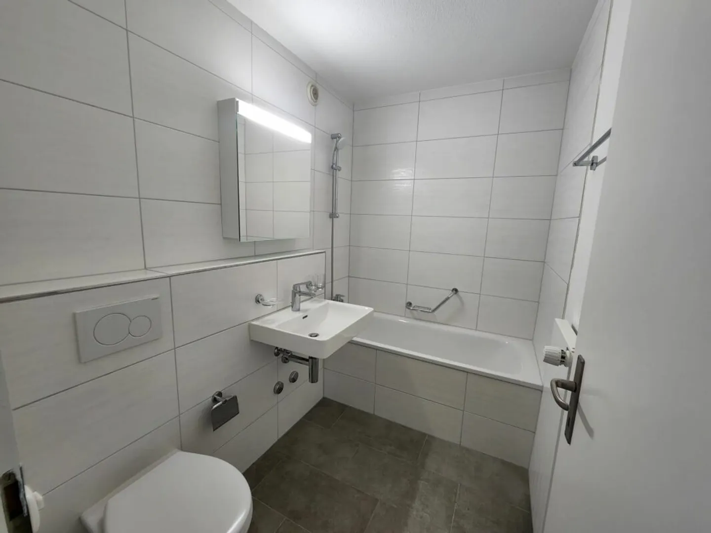 Newly renovated 5.5 room apartment on the 1st floor - Photo 3 of 11