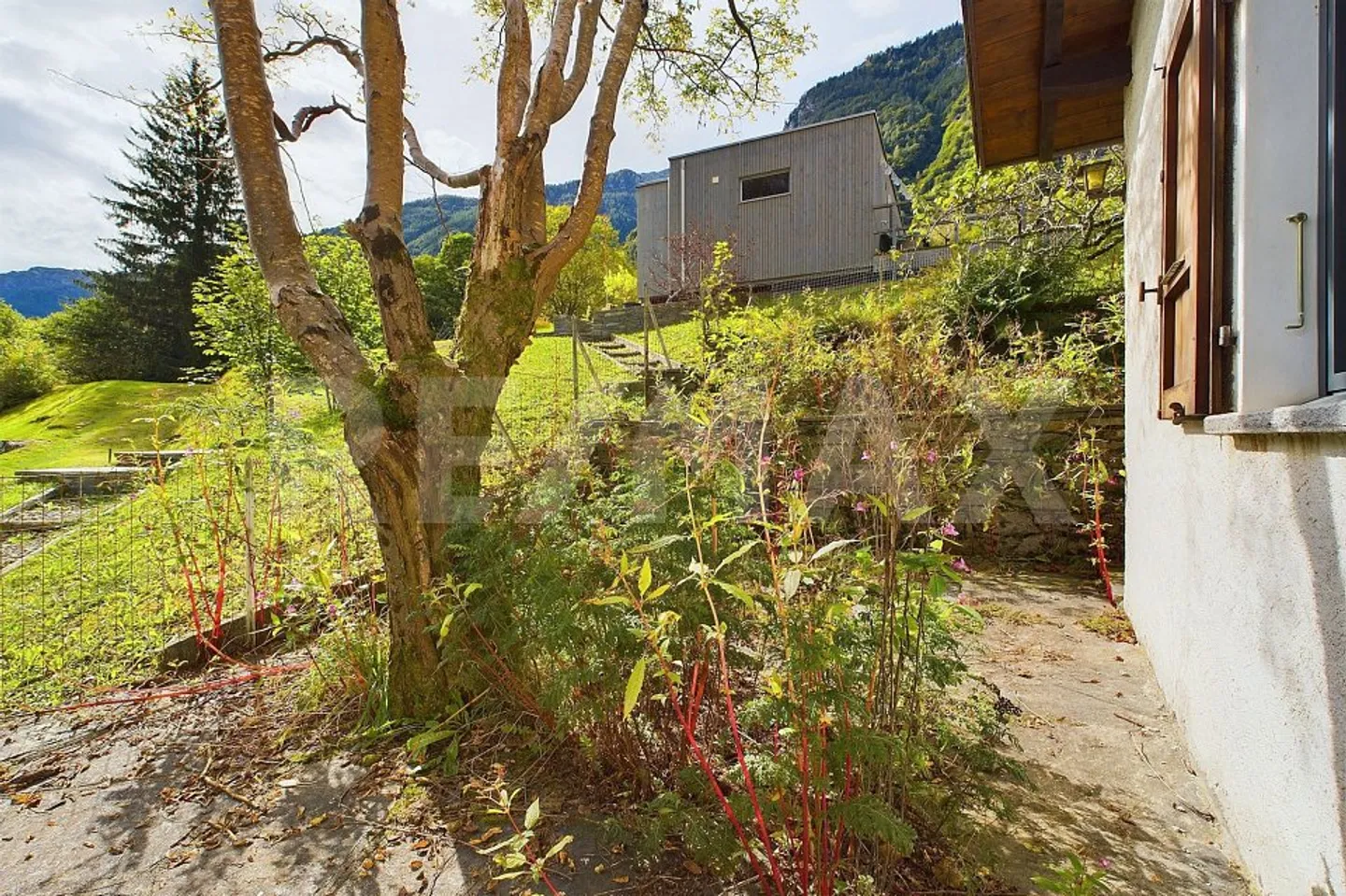 Casa singola in affitto - Foto 11 di 13