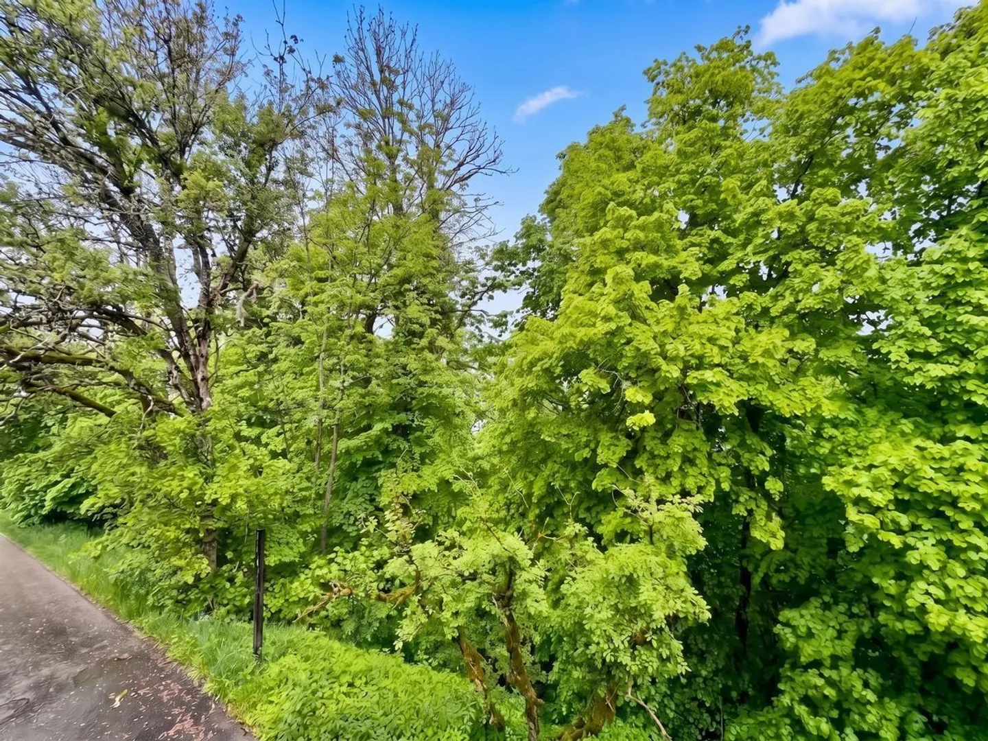 Charmantes Renovierungshaus in Brenets - Foto 4 von 13
