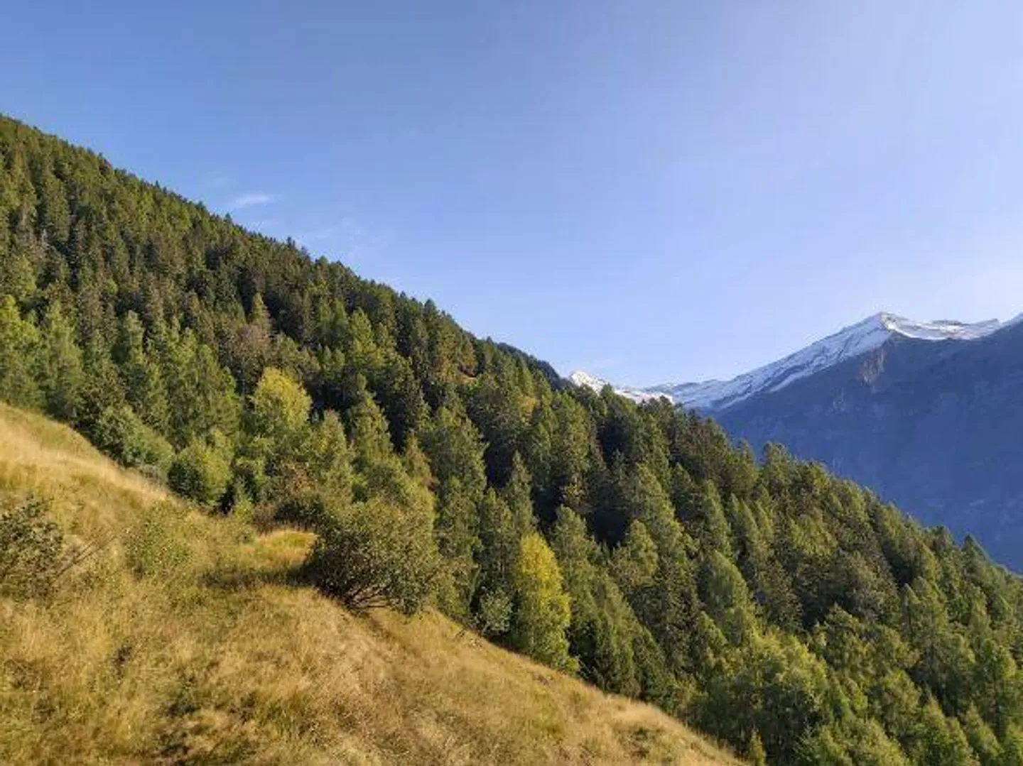 2 rustici da ristrutturare in una bellissima posizione - Foto 19 di 37