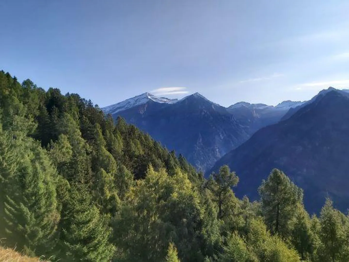 2 rustici da ristrutturare in una bellissima posizione - Foto 21 di 37