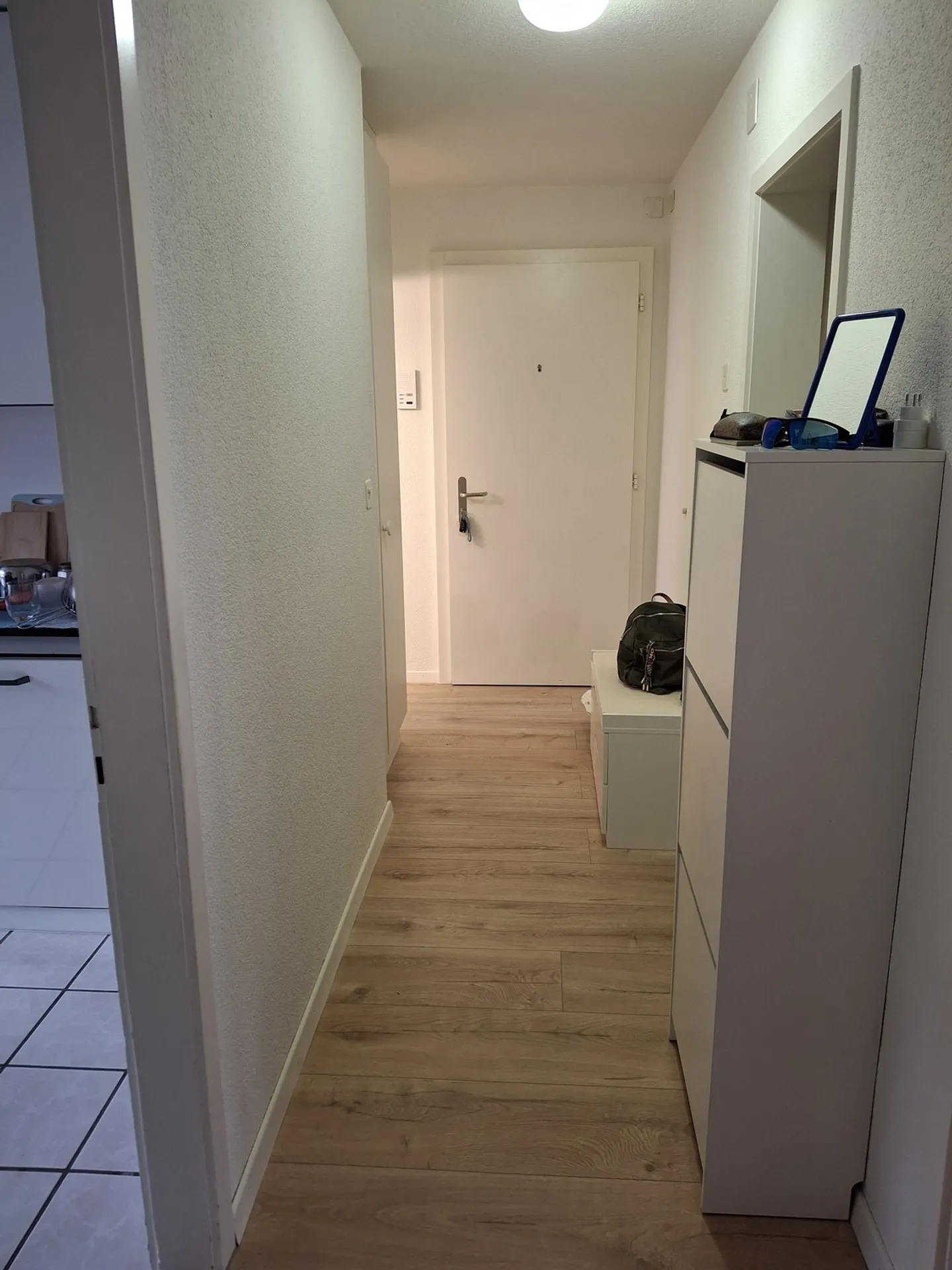 2 ROOM APARTMENT IN SCHAFFHAUSEN, FURNISHED - Photo 5 of 9