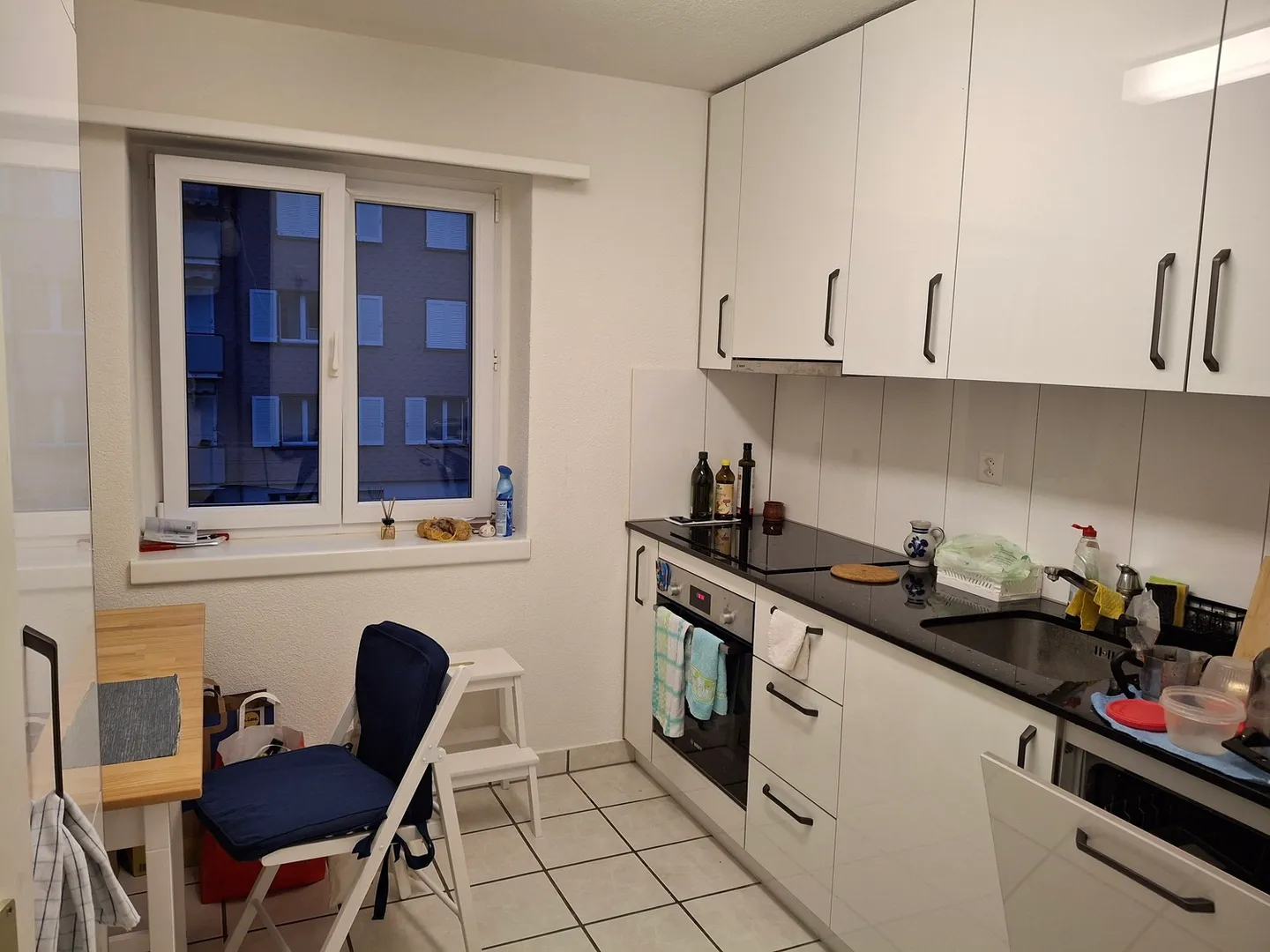 2 ROOM APARTMENT IN SCHAFFHAUSEN, FURNISHED - Photo 8 of 9