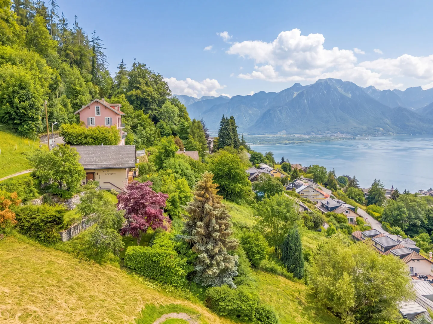 Chalet with exceptional panorama over Lake Geneva! - Photo 4 of 19
