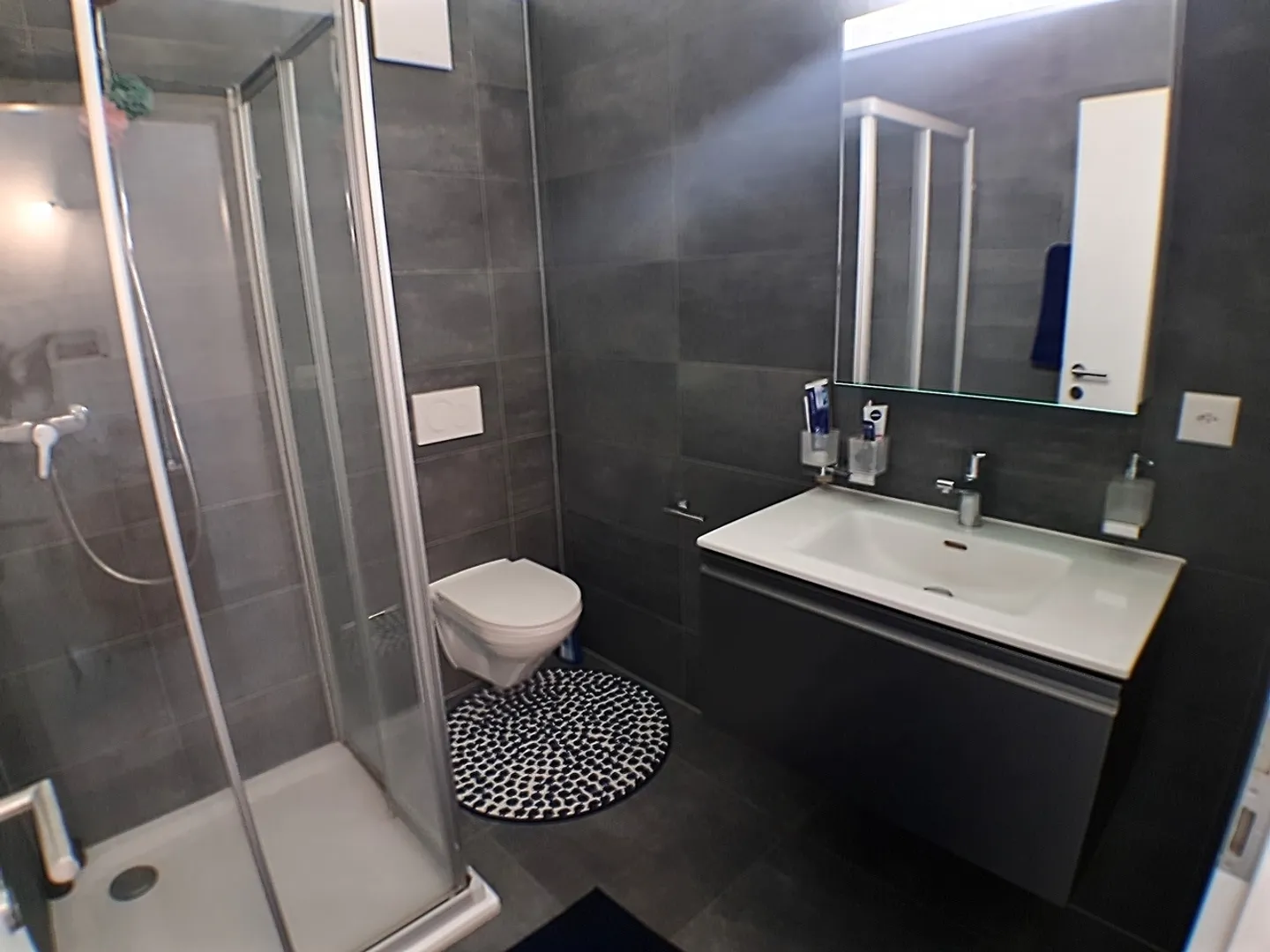 2.5-room penthouse apartment in Cudrefin / VD - Photo 9 of 10