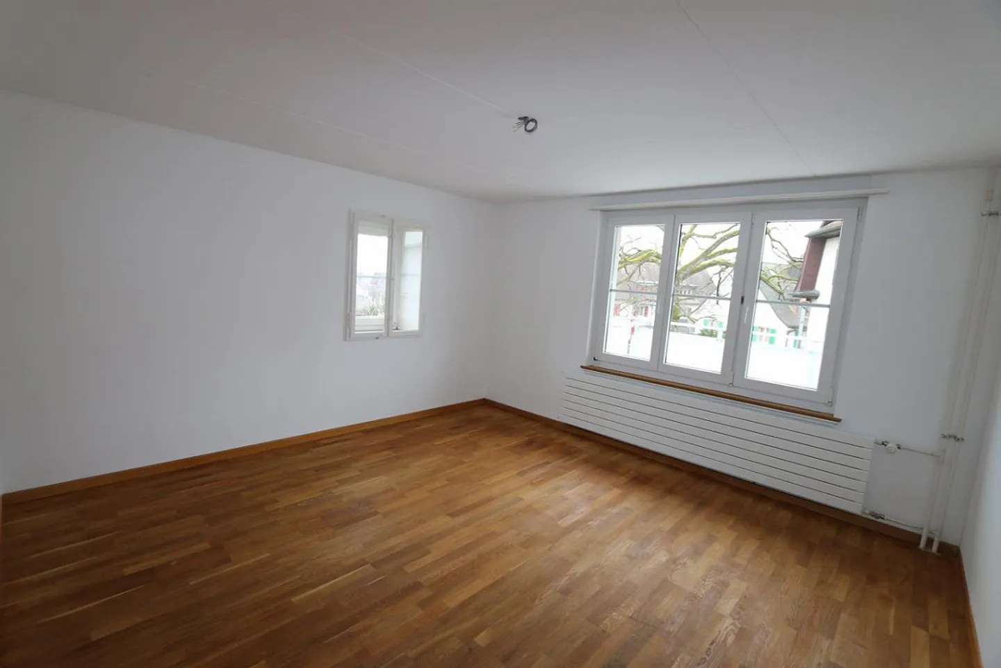 Unique opportunity in the Niklausen district - Photo 4 of 8