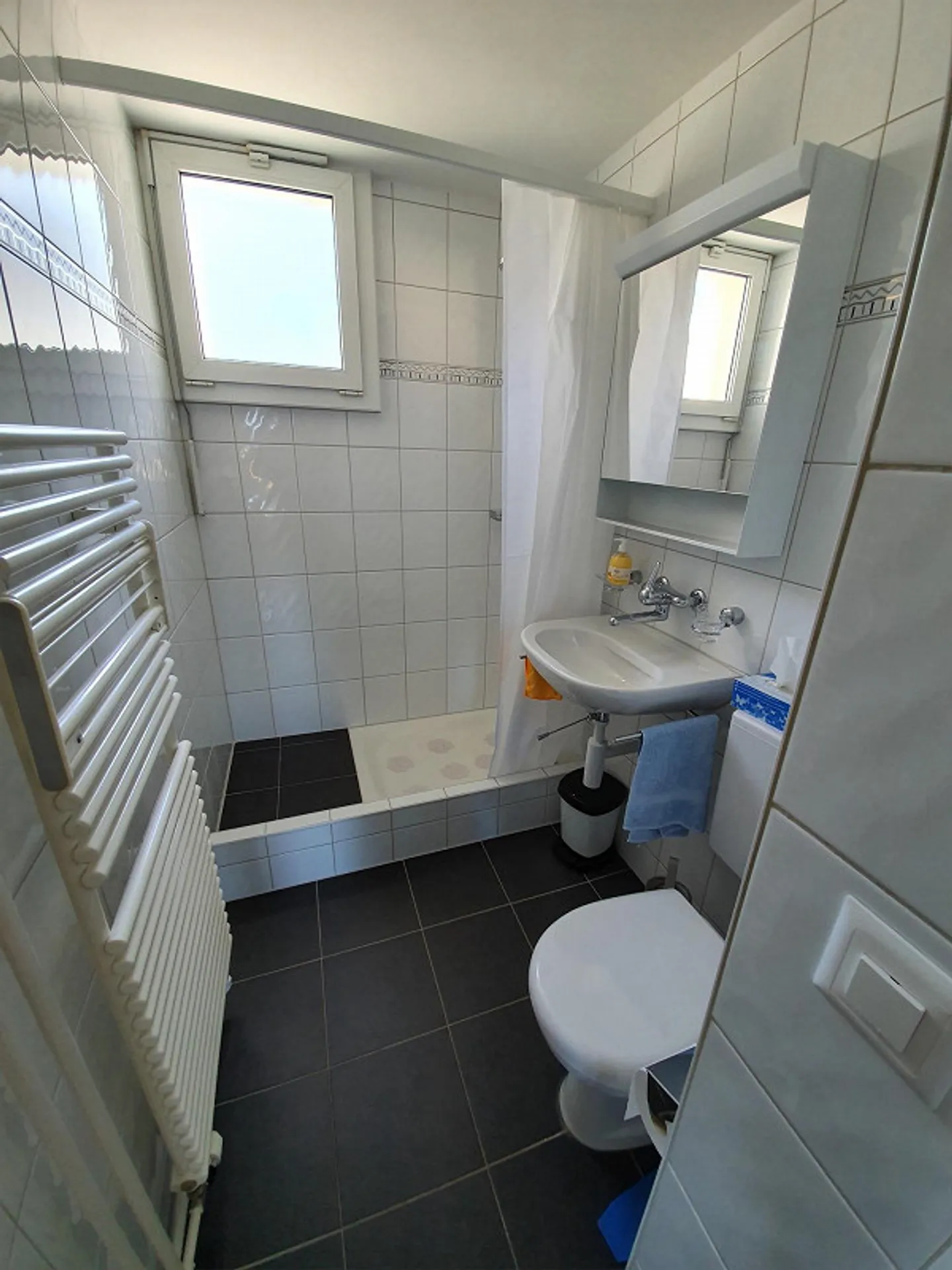 Renovated, bright and quiet 2.5 room apartment with 2 balconies - Photo 11 of 17