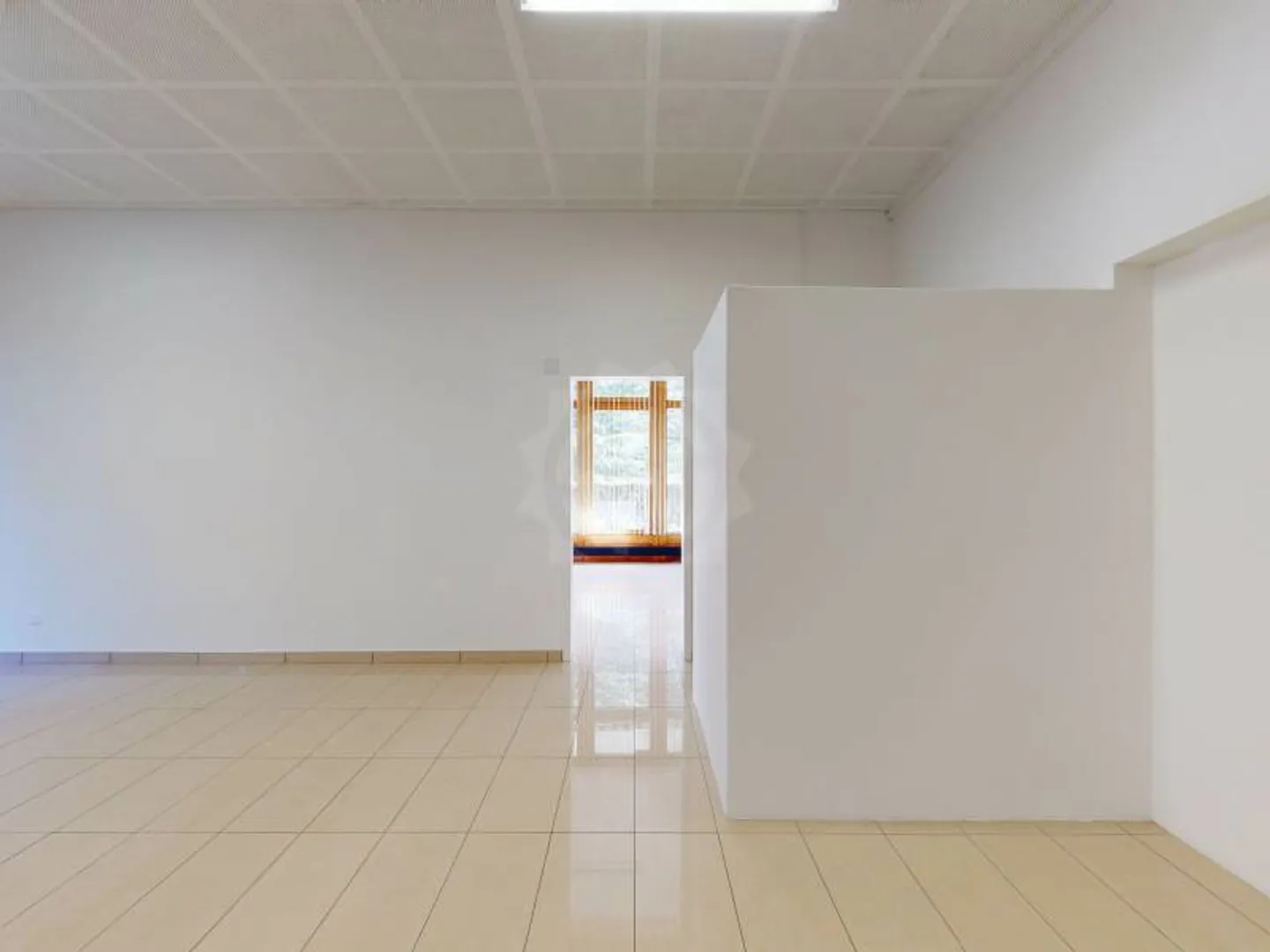 Bureau spacieux à Genève - Photo 10 sur 12