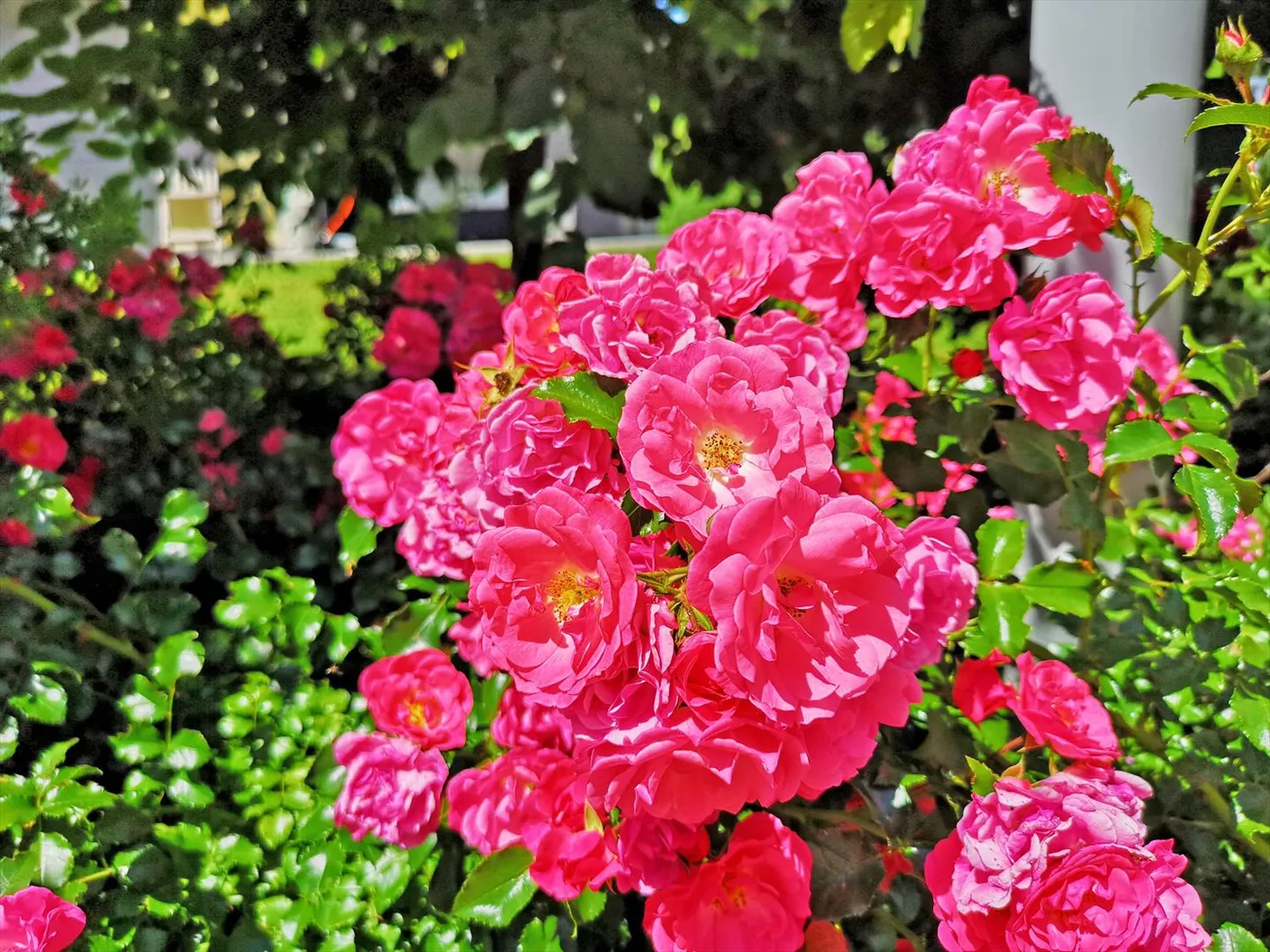 wohnen im Grünen! - Foto 12 von 12