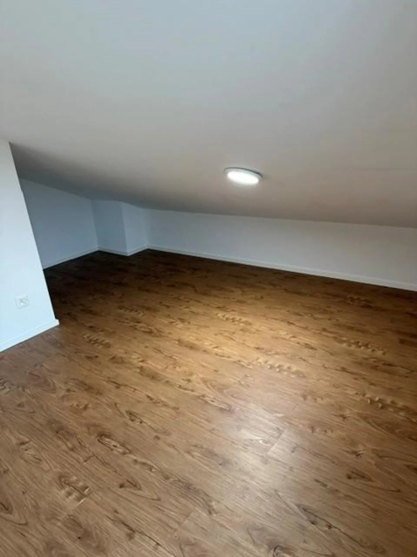 Charming 2.5 Room Attic Apartment - Photo 13 of 16