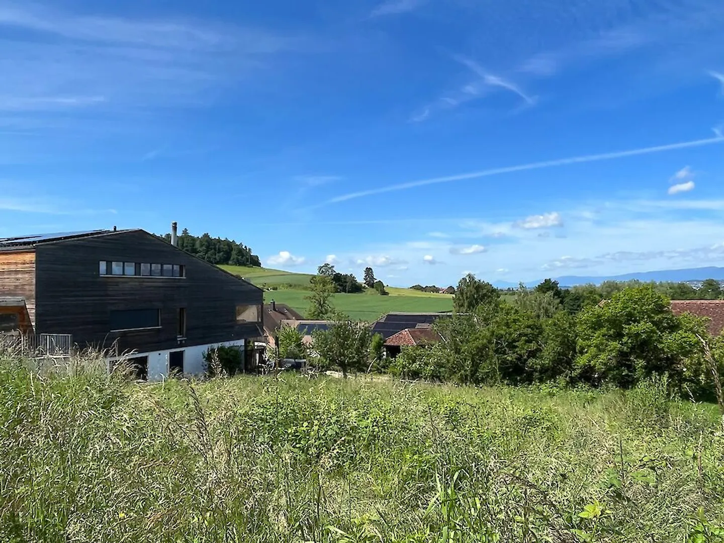 Nuove appartamenti di 4.5 stanze a Murten - Foto 3 di 5