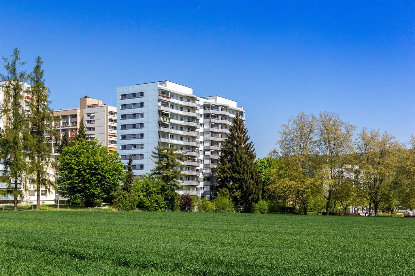 Vivere con vista sul verde! - Foto 7 di 9
