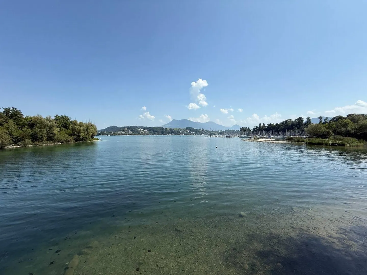 Designer Apartment on Lake Lucerne – Peace, Beach & City Proximity Combined - Photo 13 of 15