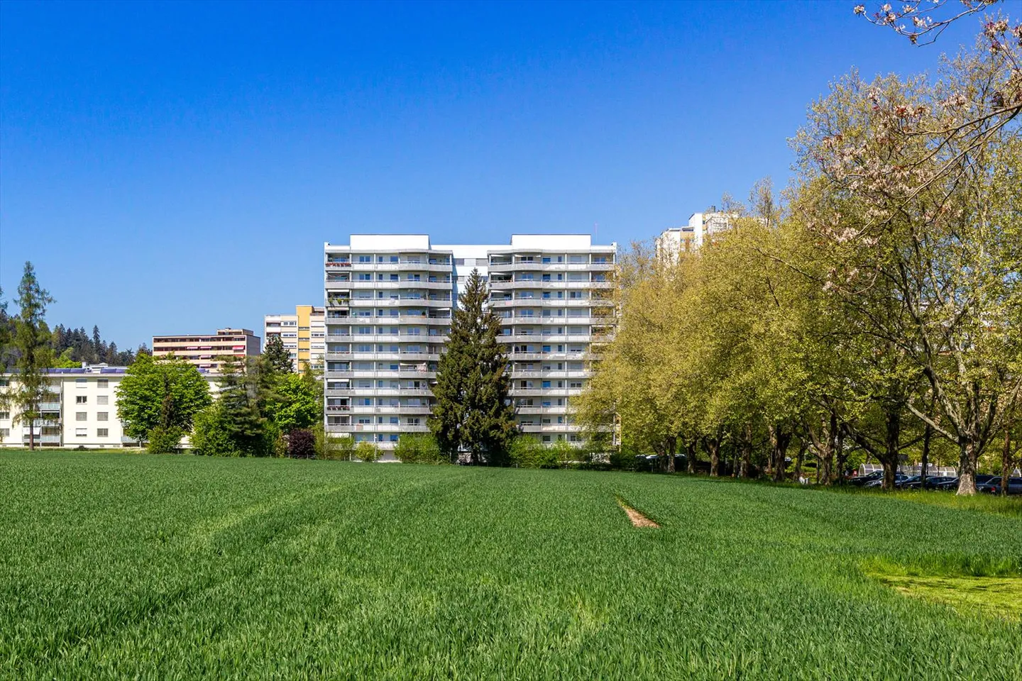 Vivere con vista sul verde! - Foto 8 di 9