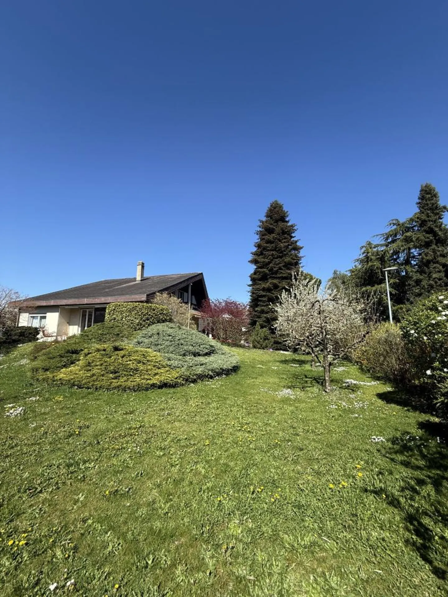 Casa unifamiliare 5.5 stanze a Crans VD Copia - Foto 1 di 11