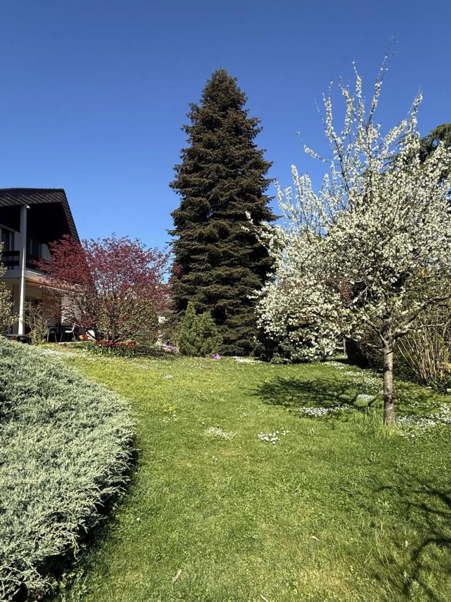 Casa unifamiliare 5.5 stanze a Crans VD Copia - Foto 2 di 11