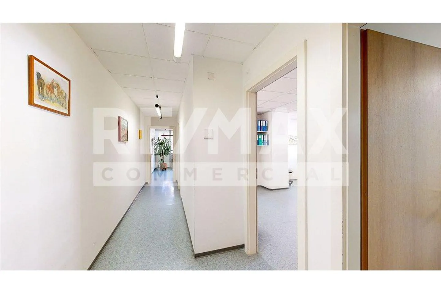 Office-laboratory of 3 rooms - Photo 7 of 7