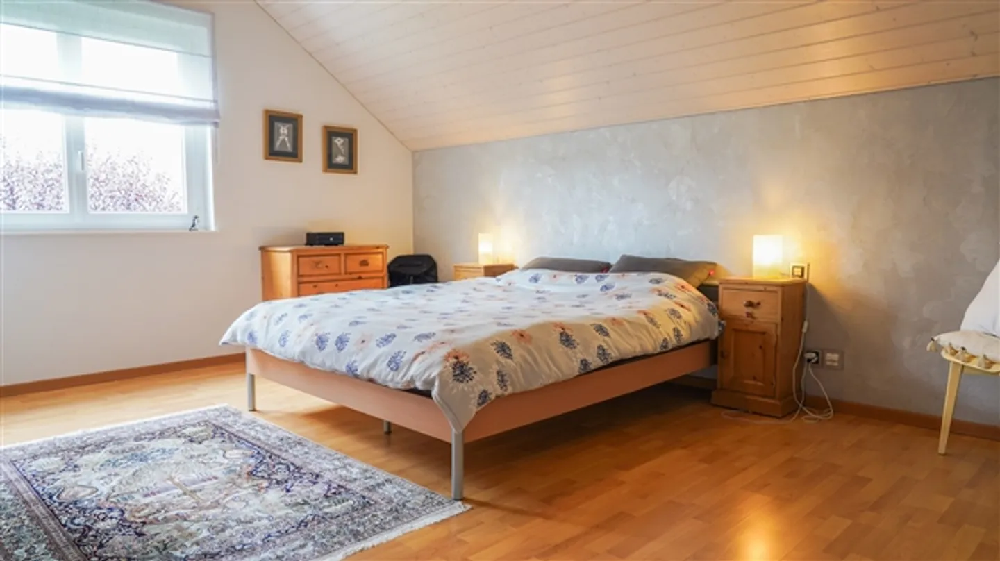 Magnificent Luxury Single-Family Home in Lausanne - Photo 10 of 16