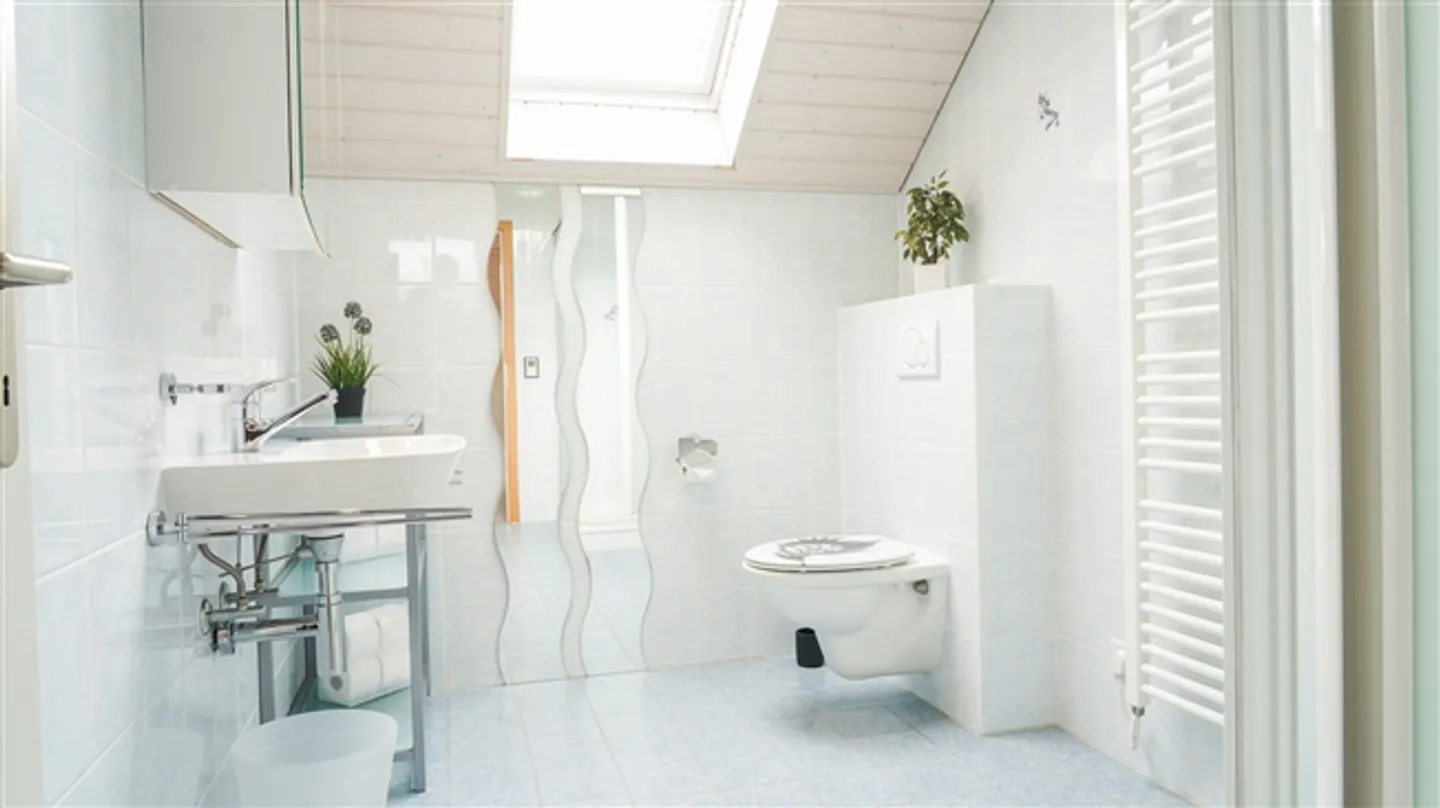 Magnificent Luxury Single-Family Home in Lausanne - Photo 12 of 16