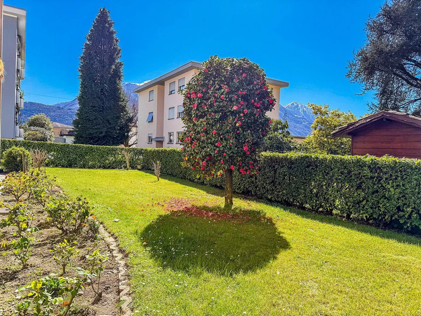 Appartamento 3.5 rinnovato - Foto 13 di 16