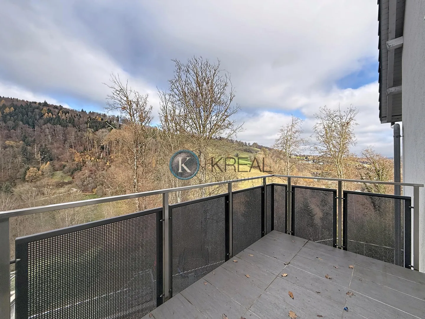 Modern Family Home in Quiet Area - Photo 6 of 17