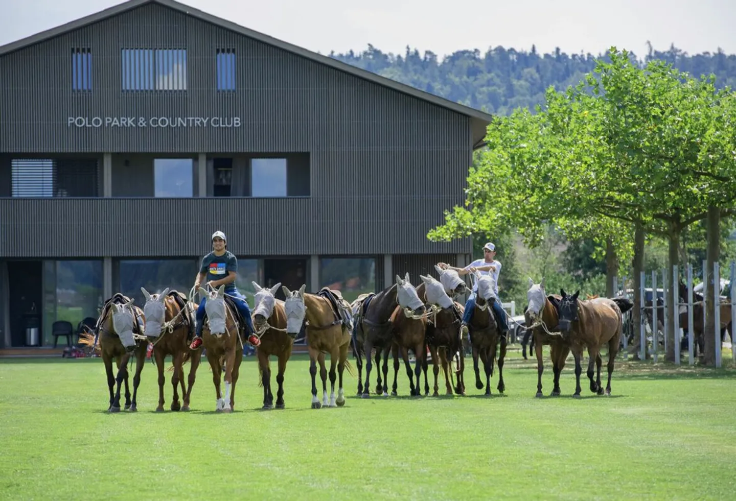 POLO PARK & COUNTRY CLUB ZÜRICH - Photo 12 of 13