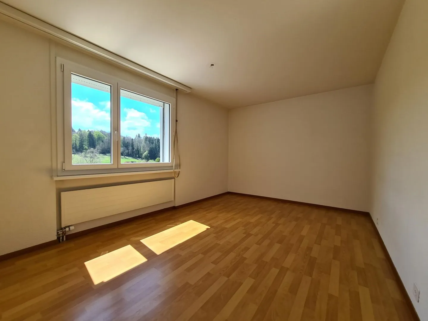 Bright & Open 3.5 Room Apartment in Schmitten - Photo 6 of 7