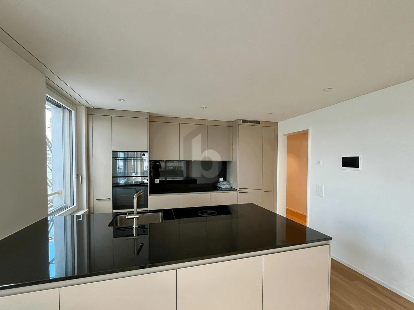 PRIMA OCCUPAZIONE: GRANDE BALCONE, VISTA SUL ÜETLIBERG - Foto 3 di 6