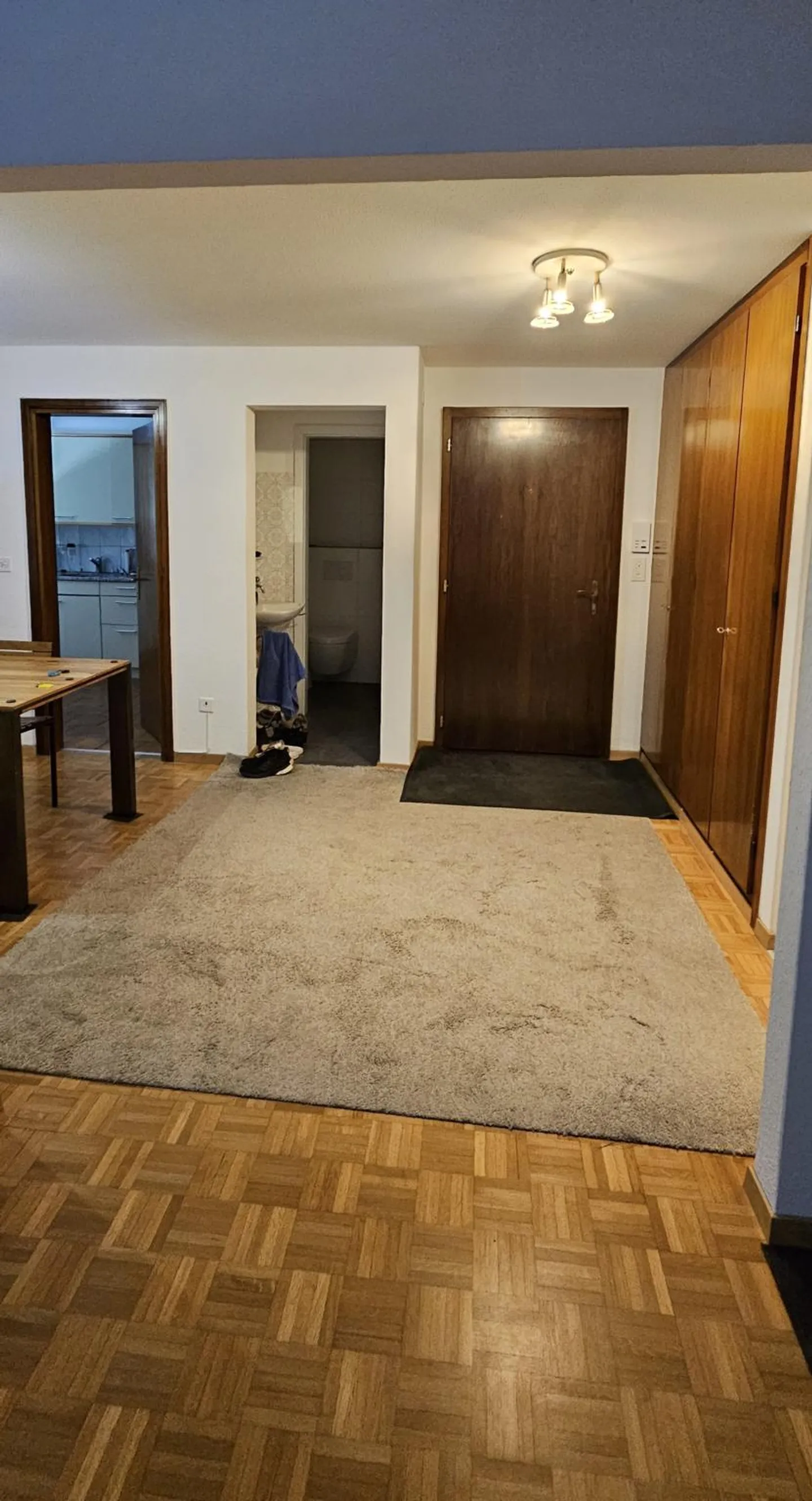Appartement spacieux à Brig - Photo 3 sur 18
