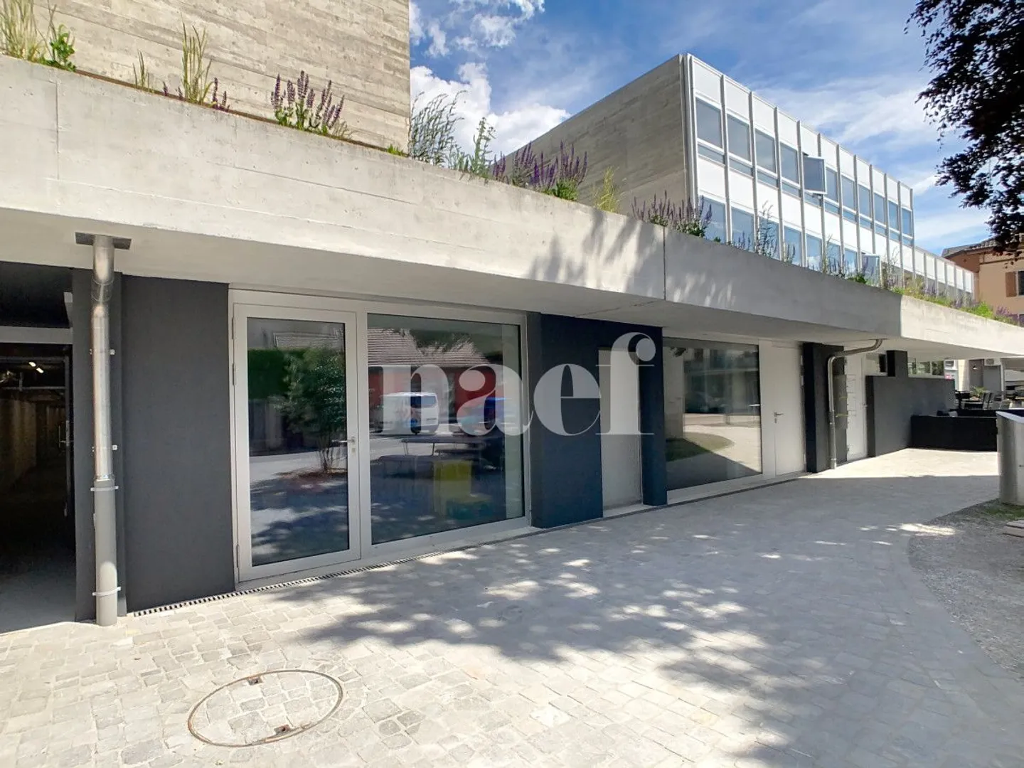 Commerciale in affitto, Rue Plantour 3 (Aigle, Svizzera) - Foto 1 di 2