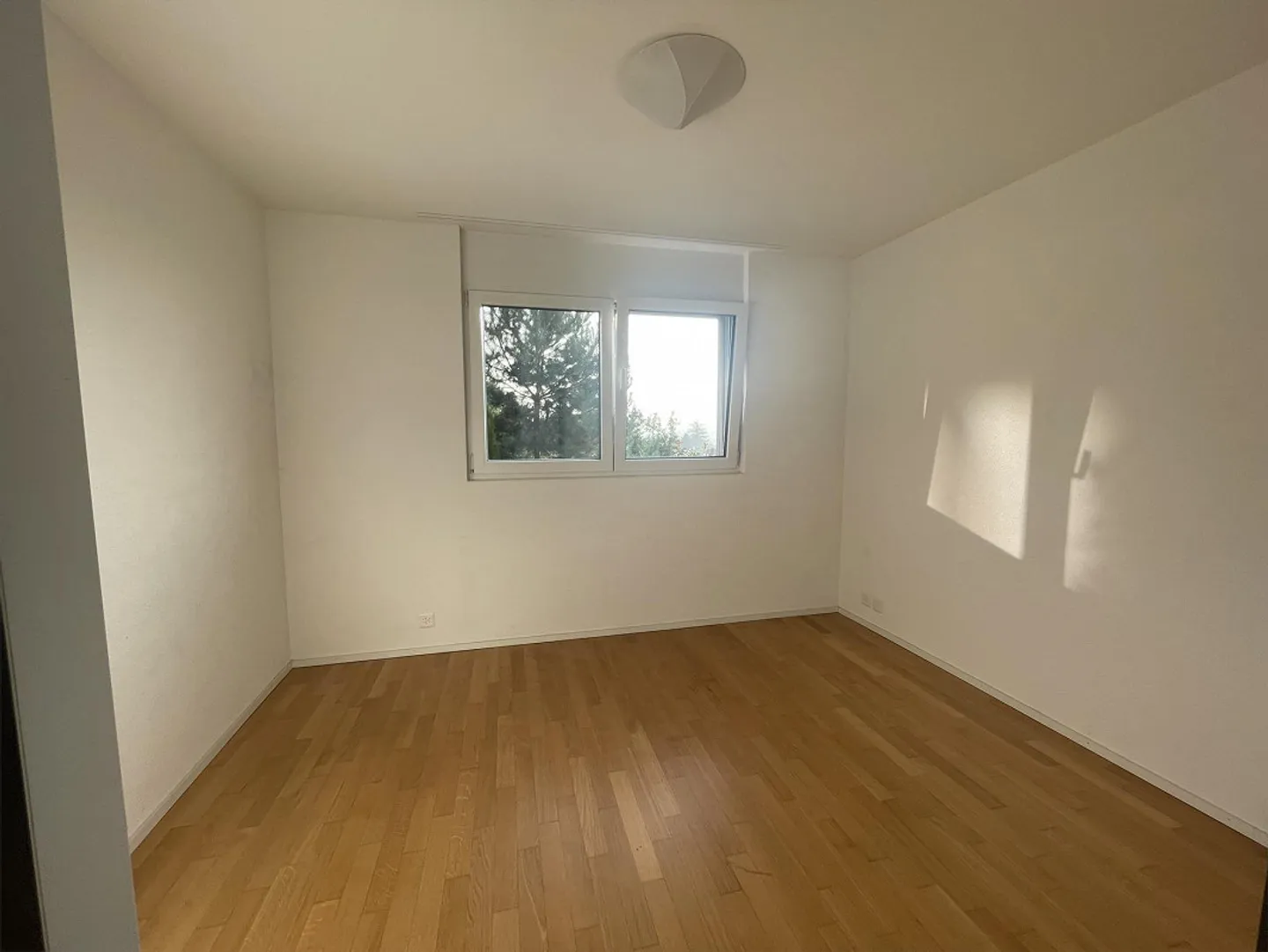 Unique View! - Photo 9 of 12