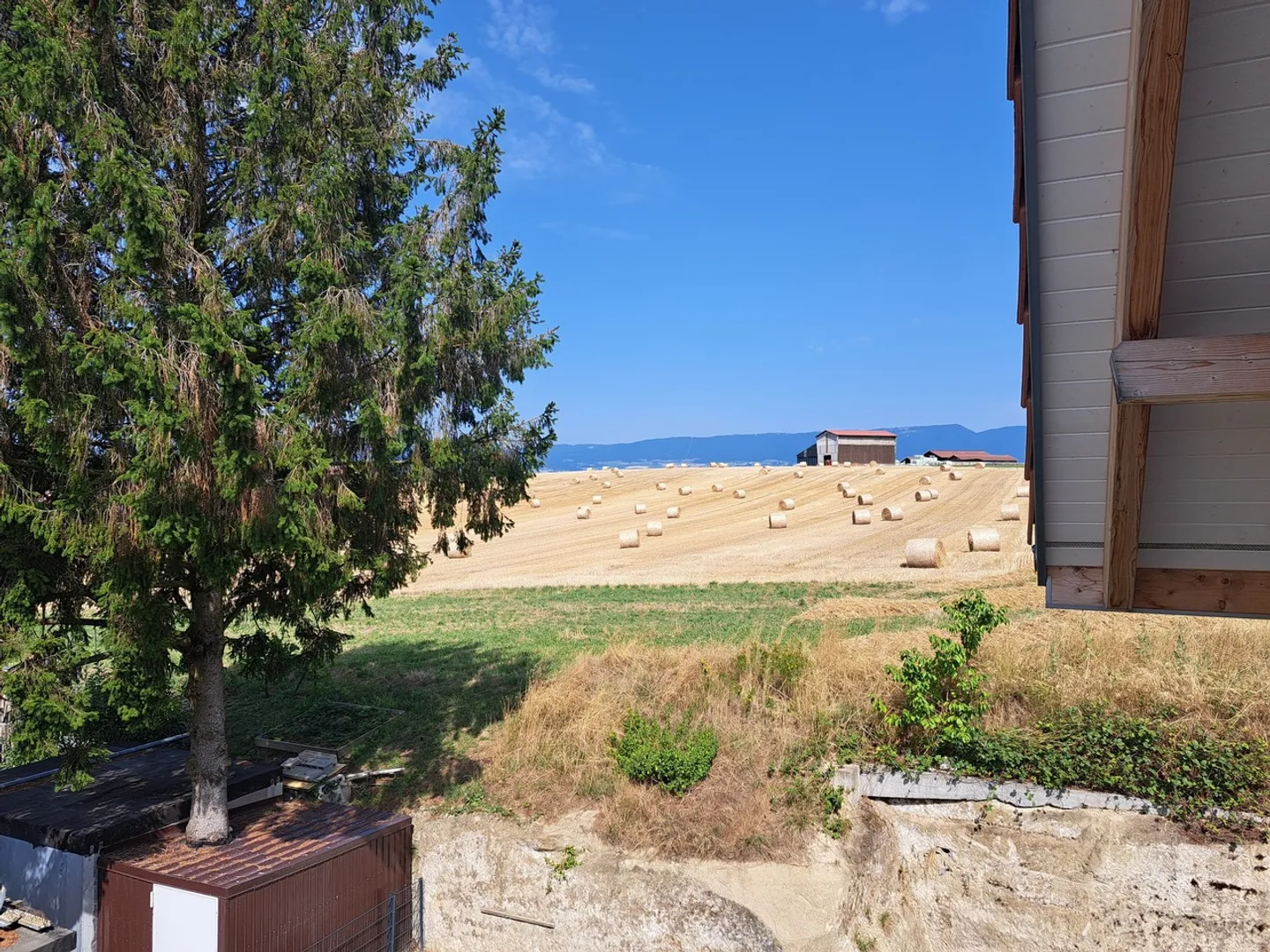 ROCHETTE 15, 2,5 Zimmer neu mit Gemeinschaftsgarten - N3 - Foto 4 von 8