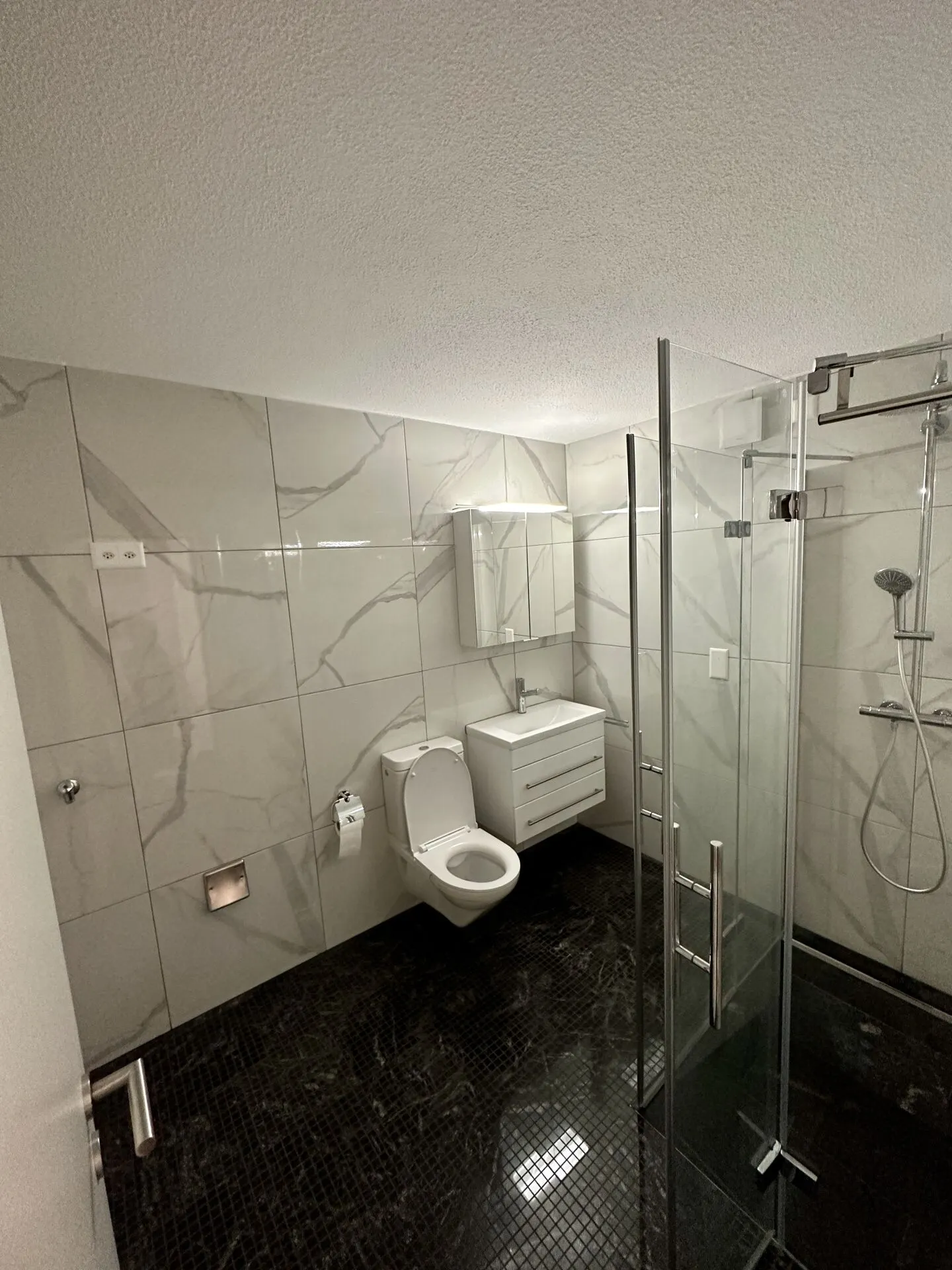 Sunny 4.5-Room Penthouse with Views of Greenery and High-Quality Amenities - Photo 3 of 5
