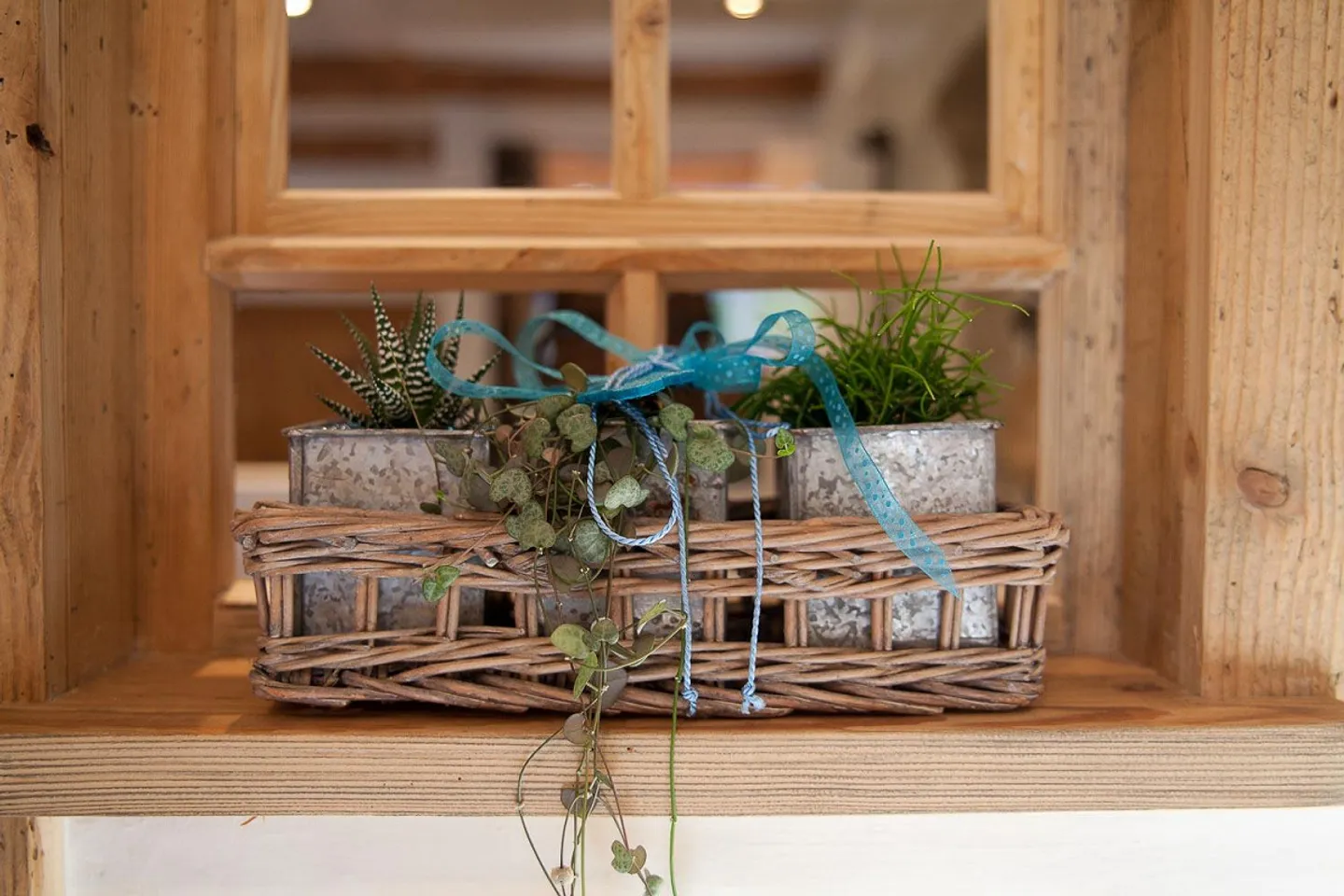 Sentiment de vie - Oasis avec vue sur le lac - Photo 9 sur 16