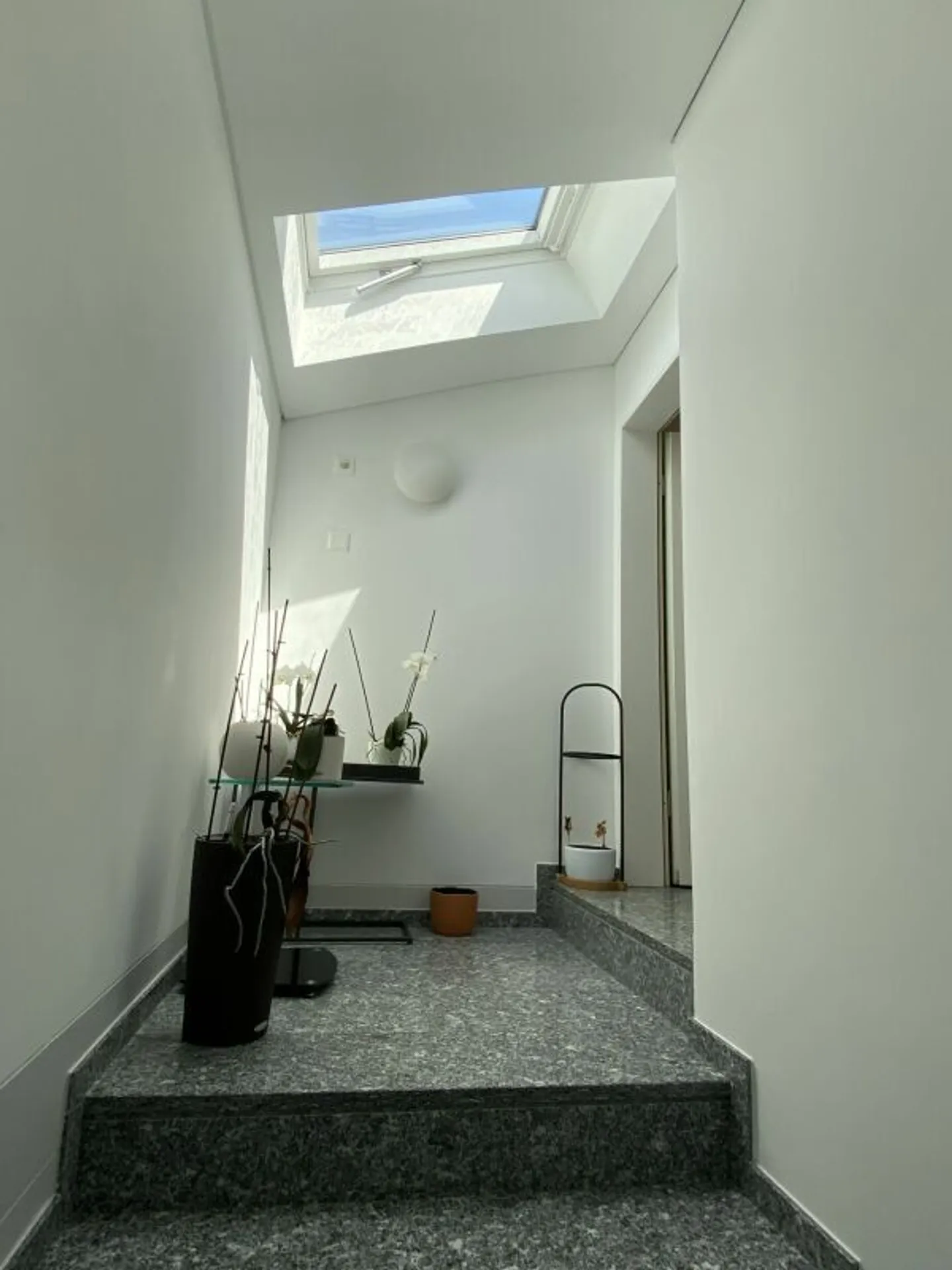 Attico elegante con terrazzo privato - Foto 5 di 25