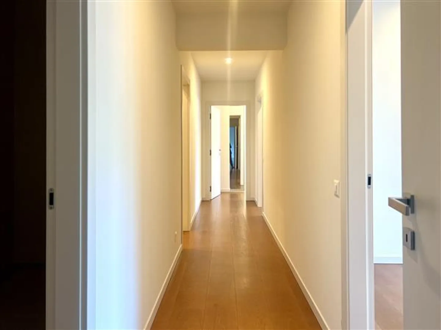 Bissone: 5.5-Zimmer-Wohnung - Foto 6 di 13