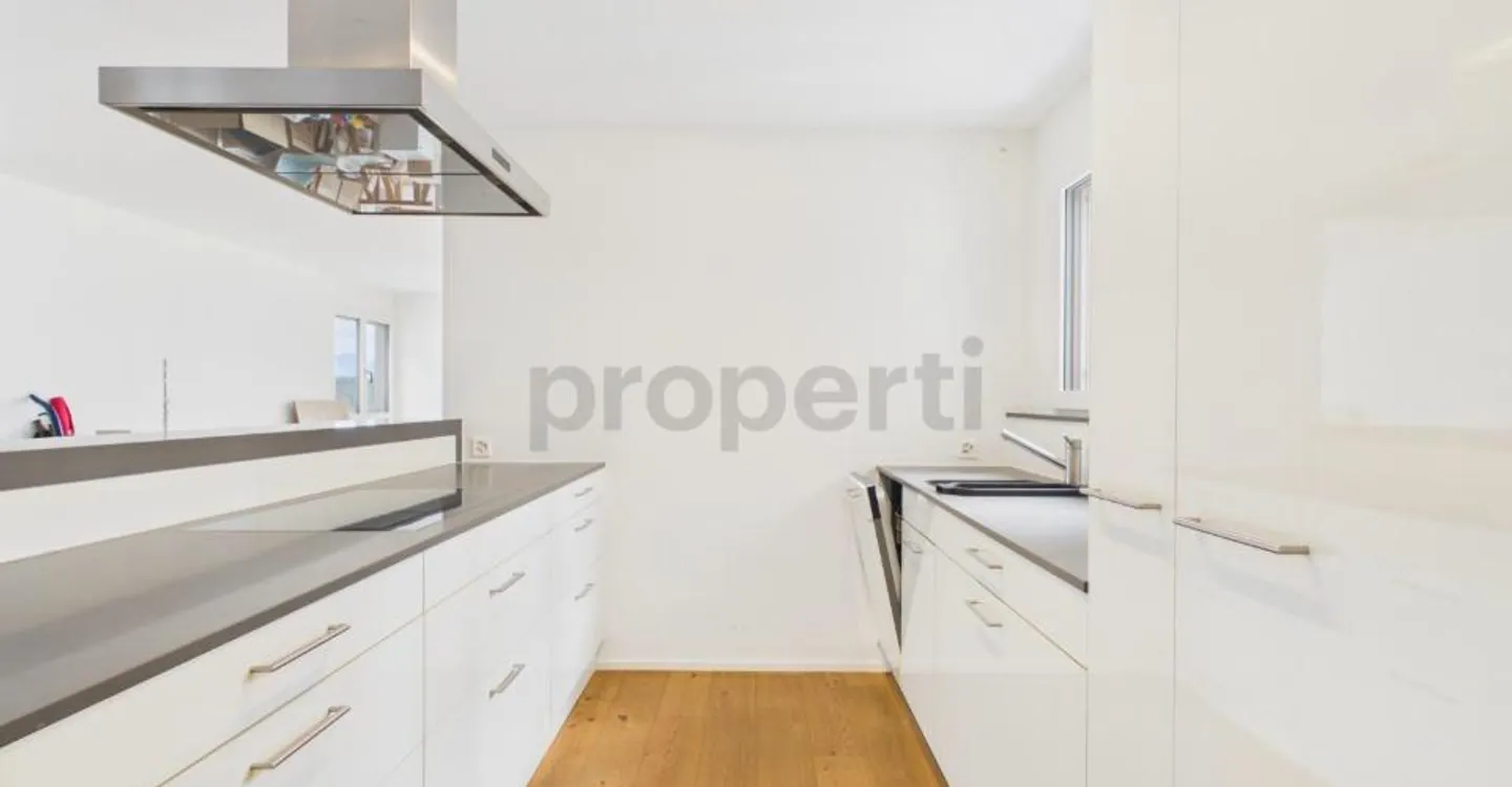 Stunning view of Lake Lucerne: Cozy fireplace, utility room with washing tower and two underground parking spaces - Photo 6 of 12