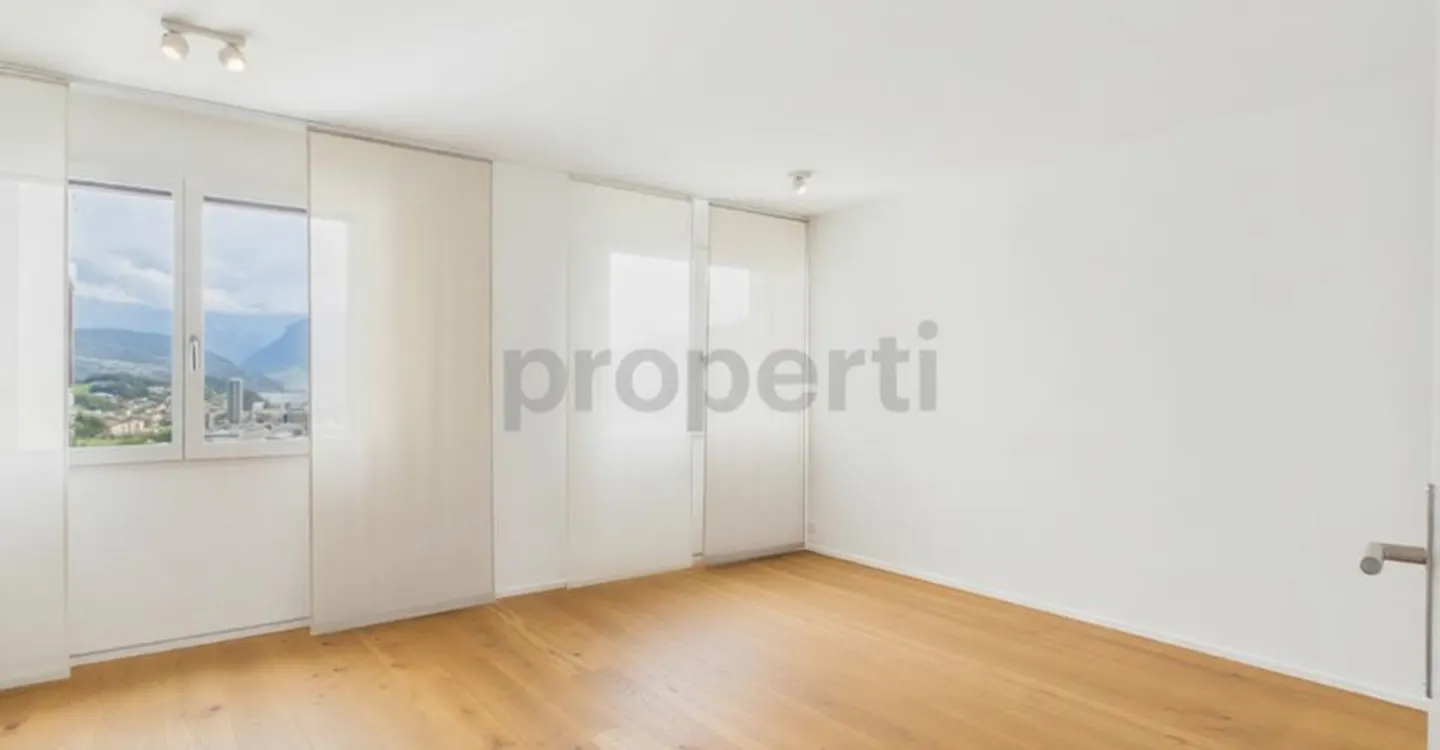 Stunning view of Lake Lucerne: Cozy fireplace, utility room with washing tower and two underground parking spaces - Photo 7 of 12