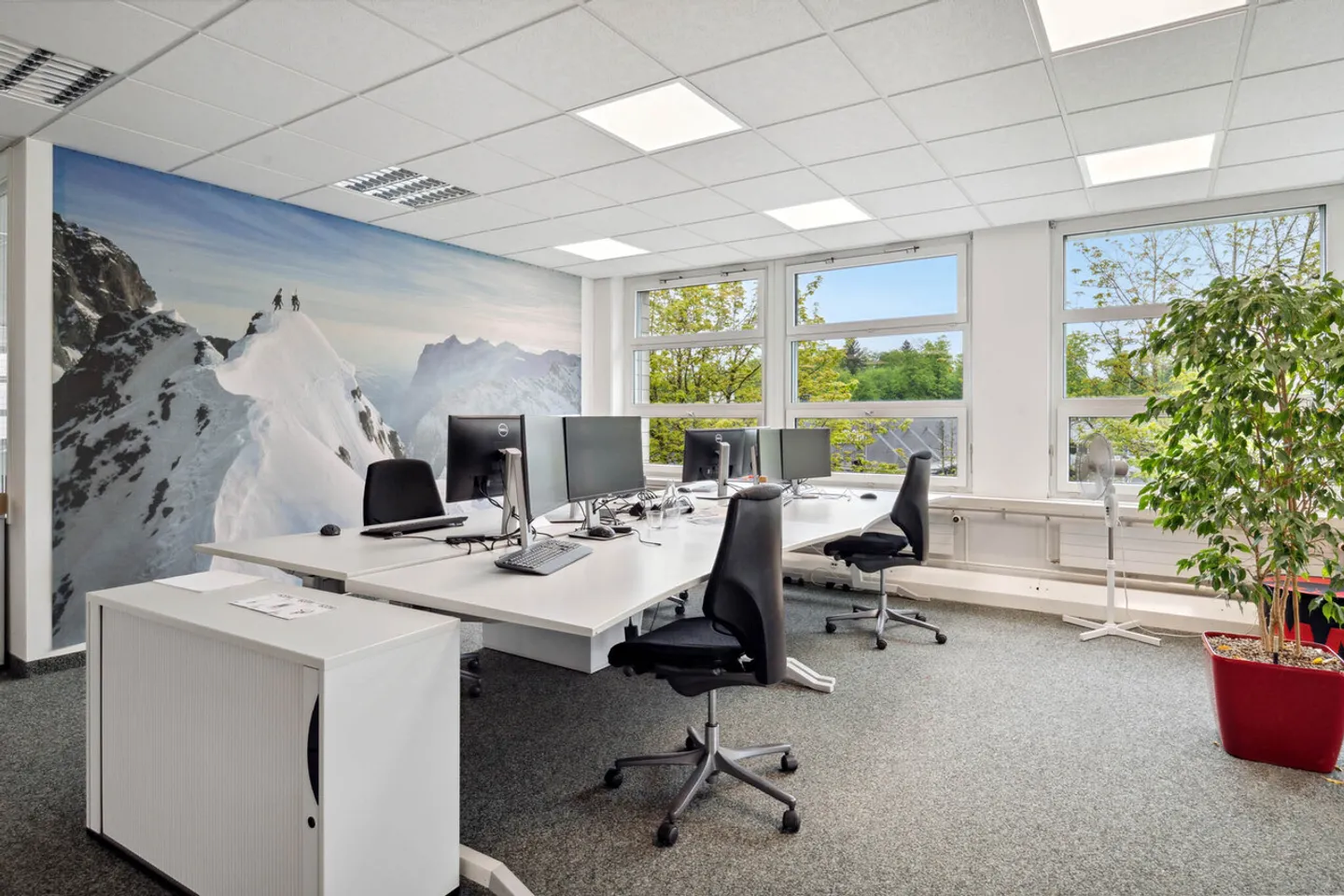 Mammut Areal Seon - Propriété commerciale pour l'industrie, la logistique et le bureau - Photo 3 sur 14