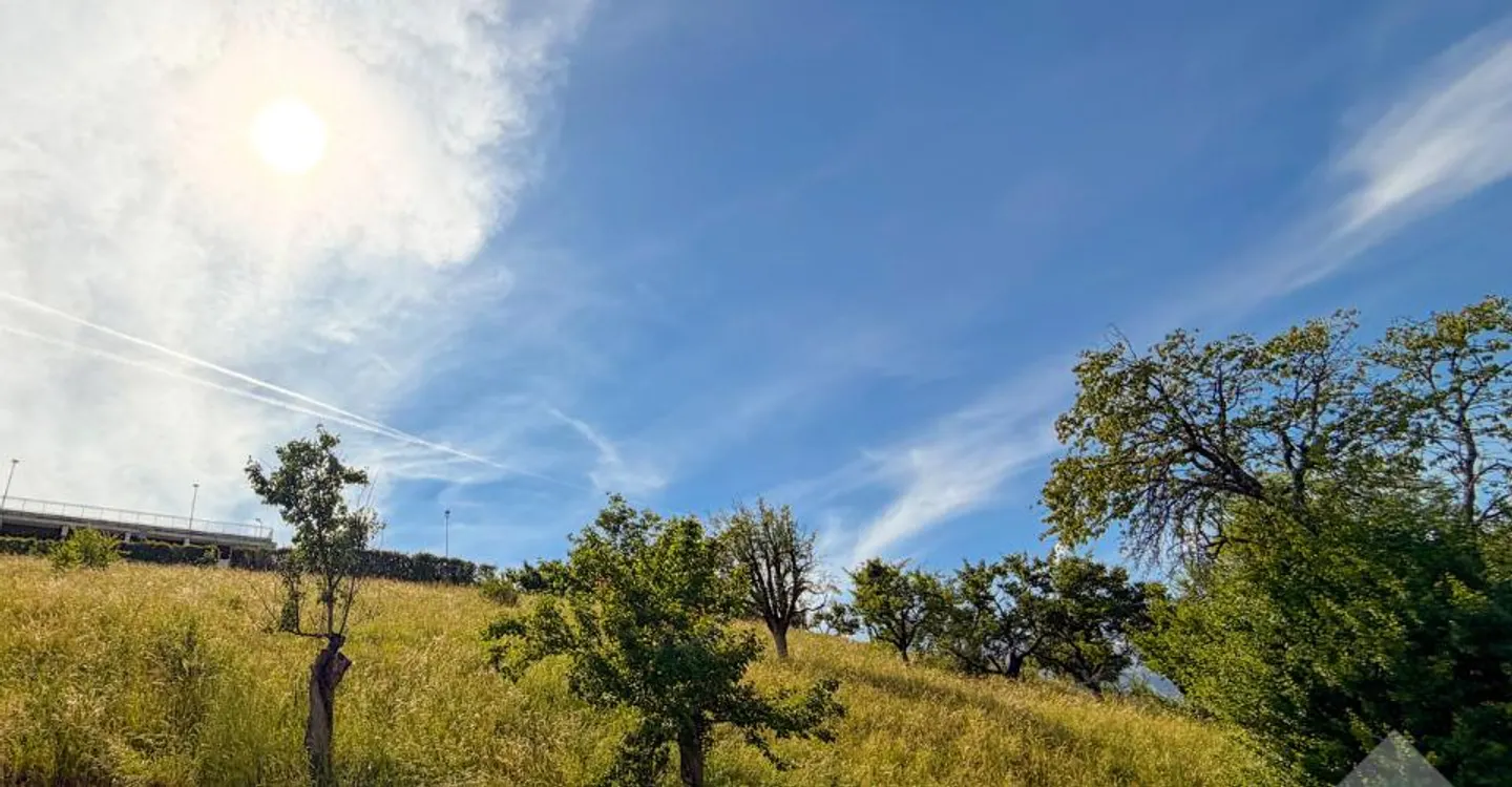 Terreno edificabile con vista alpina - Foto 4 di 7