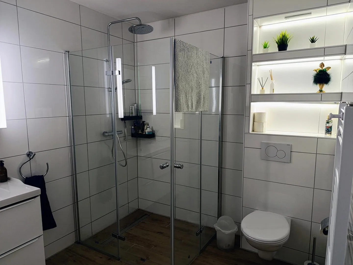 Beautiful 2.5 Room Apartment with Garden Seating Area, Stunning Lake View - Photo 7 of 9