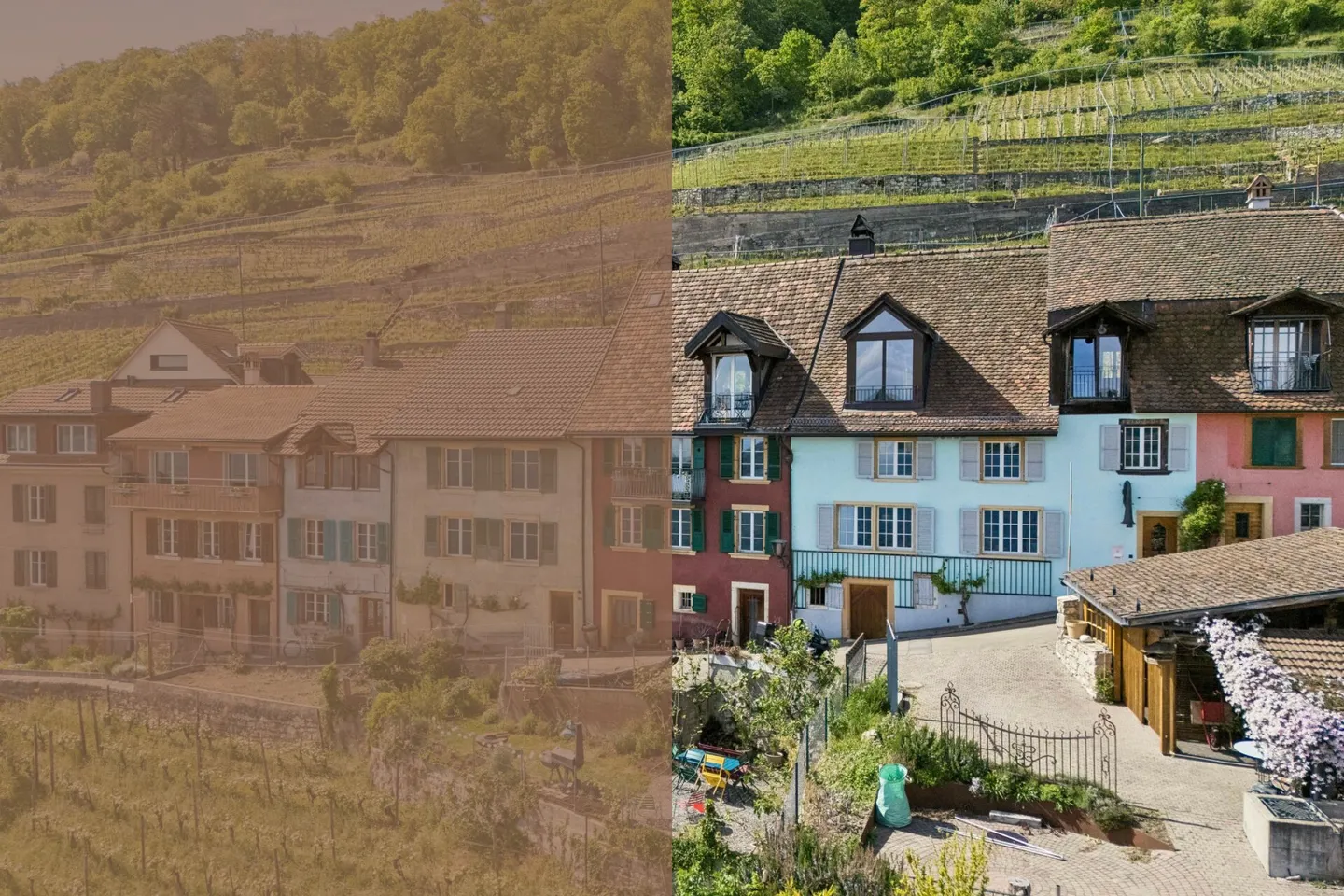 Propriété historique avec vignes et vue imprenable sur le lac - Photo 1 sur 13