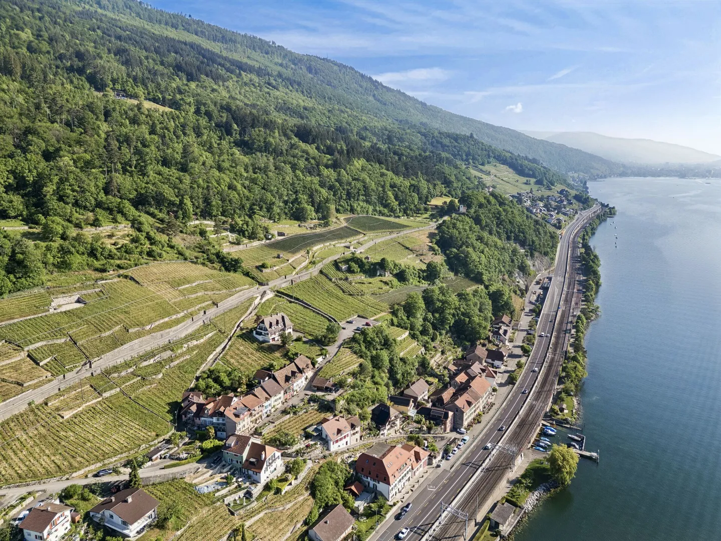 Propriété historique avec vignes et vue imprenable sur le lac - Photo 12 sur 13